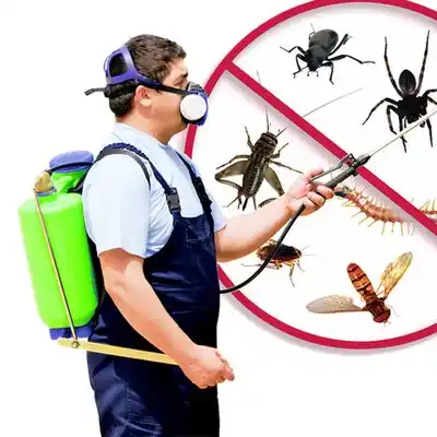 pest control Thurmont